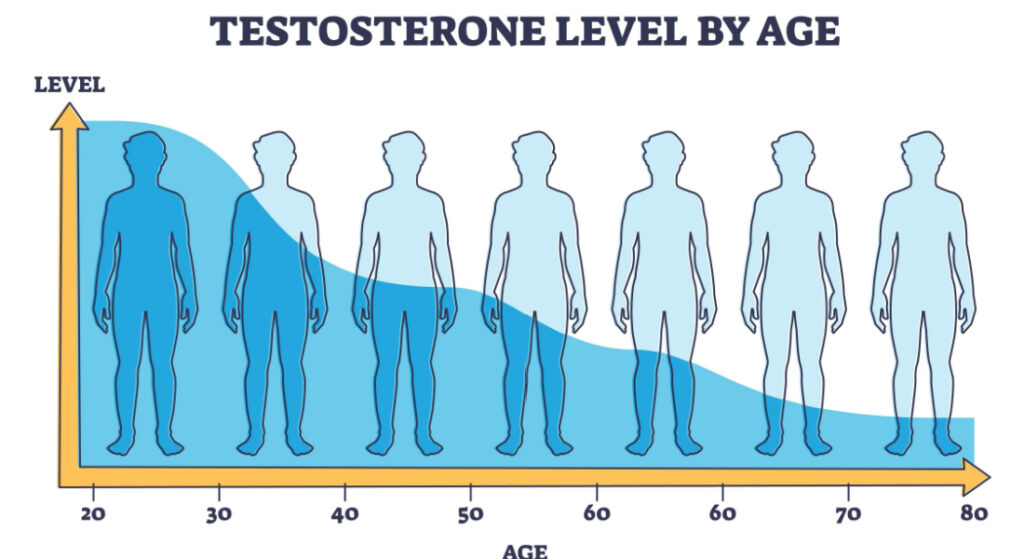 Testosterone level by age